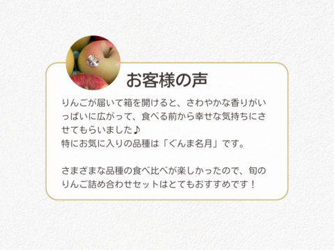 【12月発送】おまかせ旬りんご詰め合わせ（家庭用5kg・14~20玉）【みんなで食べ比べ🍎】