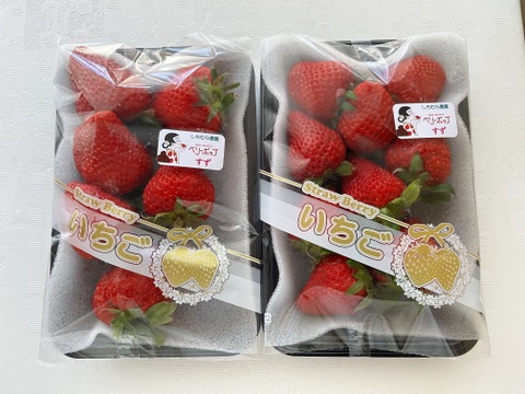 限定大特価セール！！40％OFF！！【今季初出品】甘さ満点！！【ベリーホップすず】☆黒トレー２3０ｇ×２パック入り【佐賀県産】