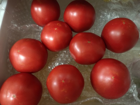 丹波の恵❗️絶妙な甘さのトマトを食卓に❗️【約2k入❗️】