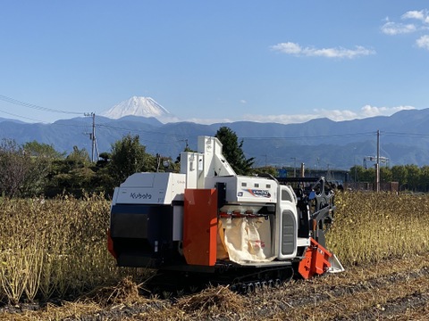 山梨県産 えごま油 無農薬 無添加 低温圧搾法 コールドプレス 金のしずく 110g 山梨県産 食べチョク 農家 漁師の産直ネット通販 旬の食材を生産者直送