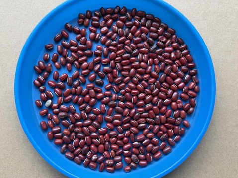 訳あり！エリモ小豆(900g) オーガニック(有機)小豆 北海道十勝 2025年産