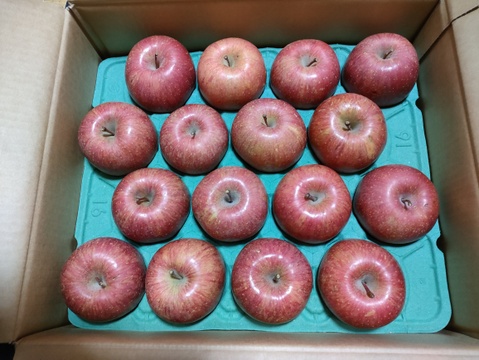 《予約受付》サンふじ　5kg（14個～20個）青森県産りんご　家庭用