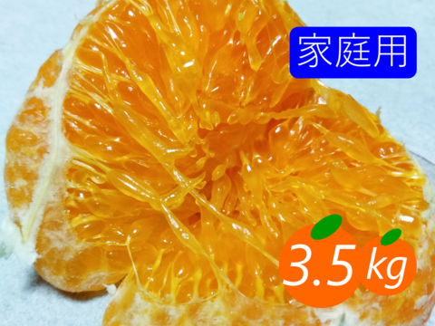 【家庭用】甘平 3.5kg ギッシリ果肉のシャキシャキ食感♡愛媛限定高級柑橘♫愛媛みかん！！