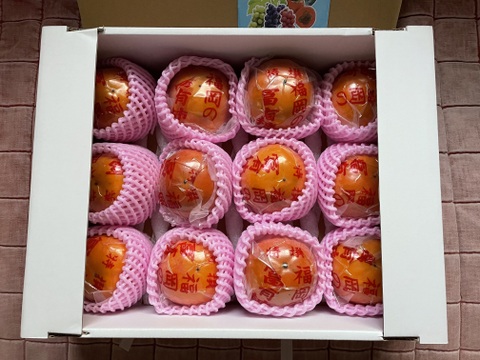 冷蔵柿（富有柿）12個入り 『小玉！』Sサイズ 　福岡県久留米市田主丸町産