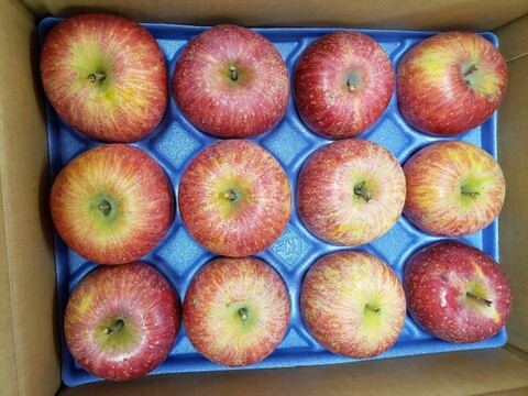 今が旬の果物お届け！　あんぽ柿（干し柿）個包装・りんご　詰め合わせセット　7.5Ｋ