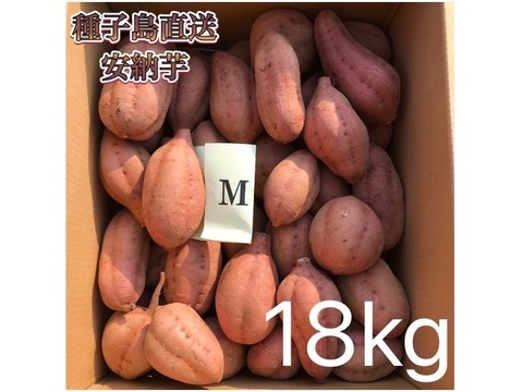 絶品】大人気！安納芋 Mサイズ 18kg(箱別)：鹿児島県産の安納紅｜食べ