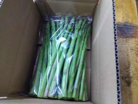 シャキシャキ！さぬきのめざめ秀品太めのL~2L夏芽１㎏