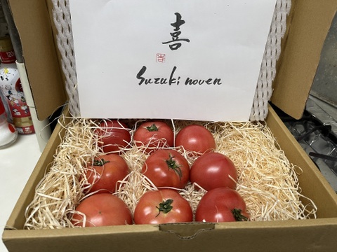 🍅ギリギリまで完熟させた甘い濃厚大玉🍅朝どれ潮風ミネラルトマト100年の伝統が生んだ奇跡の結晶『渥美半島ブランド』【冬ギフト】【1月上旬予約】