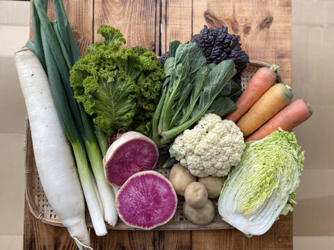 夏野菜てんこ盛り！旬野菜セット（8−10品）愛知県