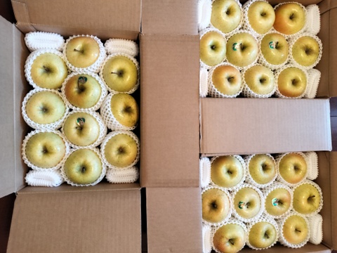 まりこ様専用『トキ』青森県産りんご(７個～１２個)