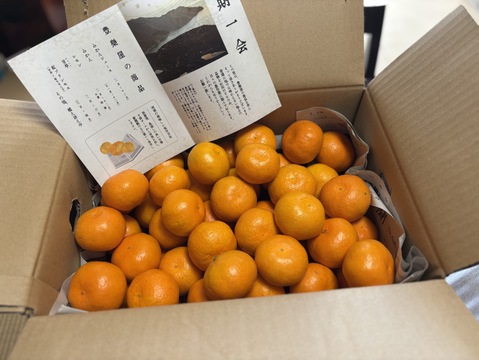 【最高級】真穴（まあな）産地直送　極上みかん　2S～Sサイズ　3Kg やや小ぶり　贈答　【冬ギフト】