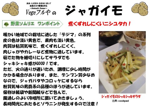 農薬未使用！旬の採れたて新鮮野菜おまかせ小セット（５～７品目）