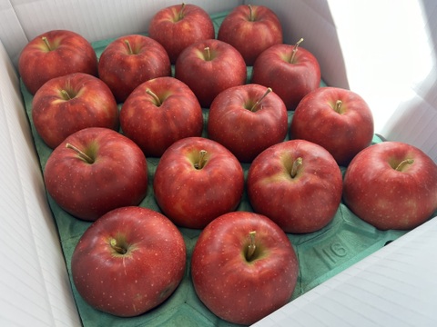 【予約販売】シャキシャキ ジョナゴールド 約5kg(14～18個)