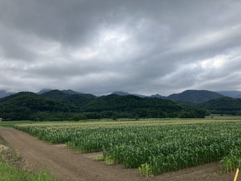 ★富良野産とうもろこし【黄・白】食べ比べセット♪　サニーショコラ３㎏・ホワイトショコラ３㎏　各７～９本入り