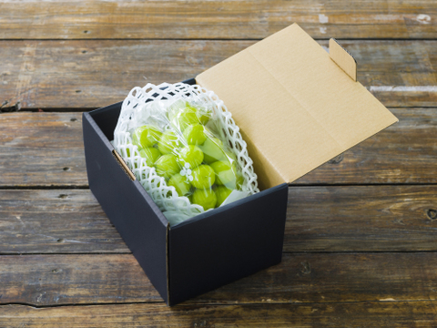 【蔵出し】大粒で樹上完熟！ 大房シャインマスカットを熊本・吉次園からお届け！【１房600ｇ】