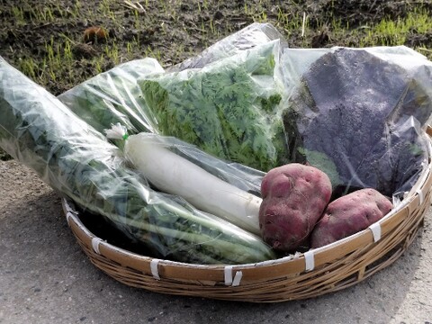 淡路島の畑から農家おまかせ野菜セット