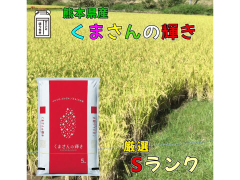 令和６年産 新米 米 白米【５キロ 】  熊本県産くまさんの輝き最高級米【特Sランク】新鮮発送日に精米【特別栽培米】 農薬 化成肥料 通常の慣行栽培の半分以下