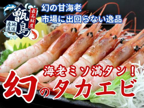 🦐最高鮮度の大トロ海老🦐プリプリ身質大トロの甘さ海老ミソ満タン『幻の生タカエビ』業界初パウダースノー冷凍で最高鮮度🐟20代女性漁師が手掛ける甑島ブランド【冬ギフト】【2月下旬発送】