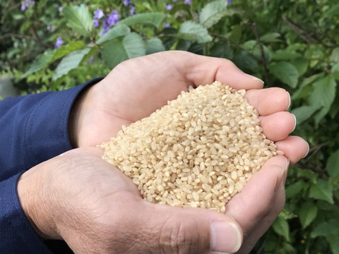 令和3年産コシヒカリ特別栽培米5㎏
健康と美容に嬉しい５分づきです。