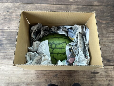 ☆有機JAS認証☆小玉スイカ