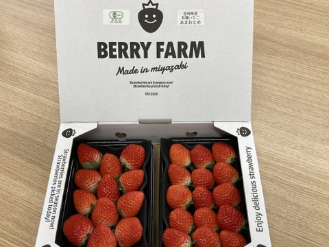 香り豊か！有機いちご「あまおとめ」500g