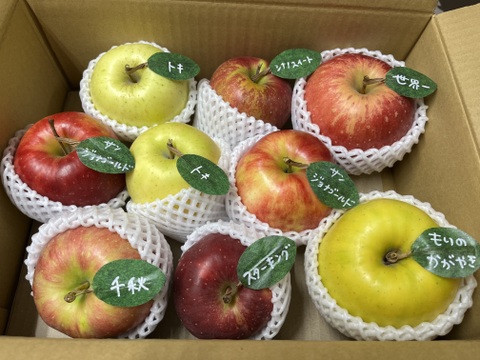 【冬ギフト】🍎5品種詰め合わせ🍎3キロ 【りんご食べ比べ】  おまかせ 商品ID171041