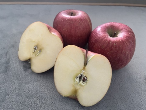 【冬ギフト】ふじりんご 3kg