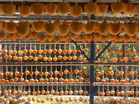 甲斐の国名産【枯露(ころ)柿】20個箱入り

太陽と風が渋〜い甲州百目柿を甘〜い干し柿に育てました！南国果実の様な濃厚な天然スイーツ・干し柿  @60g以上の大きいサイズ たっぷり1kg超
