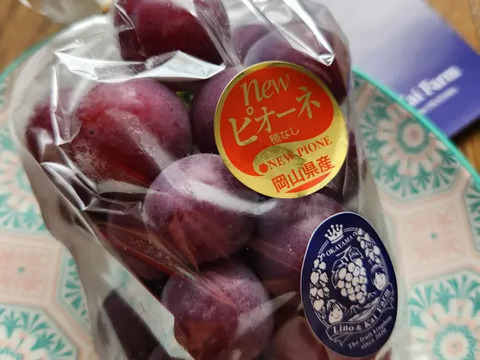 いよいよ今年最終【食べチョクアワード 4年連続受賞！】※訳あり 岡山の『ニューピオーネ』 3房～４房 （2㎏以上 化粧箱入）