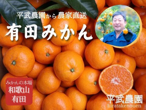 【冬ギフト】農家直送！有田みかん3kg≪Sサイズ 秀品≫【平武農園】～蛍飛ぶ町から旬の便り～　和歌山｜有田｜田口｜ギフト｜こだわり　産地直送　お取り寄せ