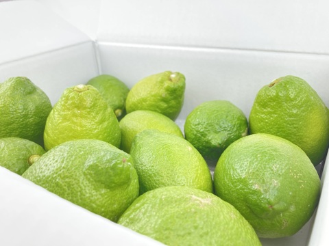 【レモン島からお届け】グリーンレモン家庭用4kg◎ワックス•防腐剤•防カビ剤不使用