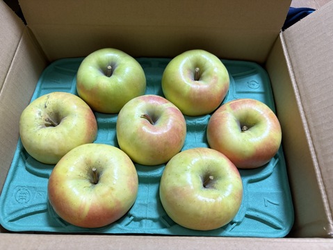 ラスト60！【このりんごを嫌いな人はいますか？？】名月 3キロ箱 6玉