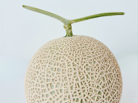 〈12/30〜1/3食べ頃〉【冬ギフト】ジューシーでスッキリとした甘さ！岡山県産マスクメロン(1玉)