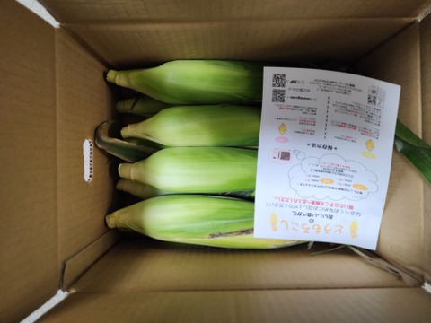 【感謝価格】おおもの3kg　糖度20度前後にもなる激甘スーパースイートコーン！！