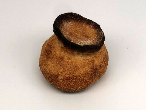 全部有機！Singleパン㉛：麦の栽培から一貫生産　自然栽培有機小麦のみ使用した有機シャンピニオン8個