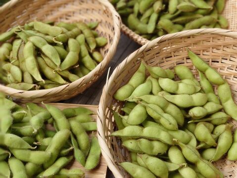 採れたて 兵庫の在来種 枝豆食べ比べ 4種類セット 1kg 兵庫県産 食べチョク 農家 漁師の産直ネット通販 旬の食材を生産者直送
