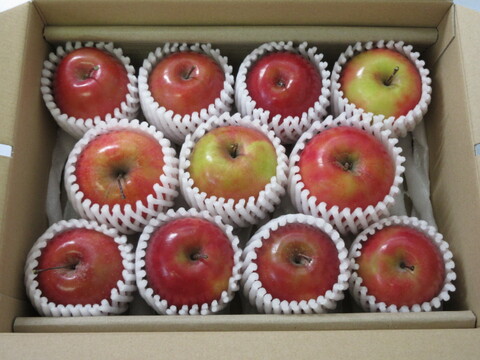 【超希少品種！栄紅（えいこう）】合格祈願りんご