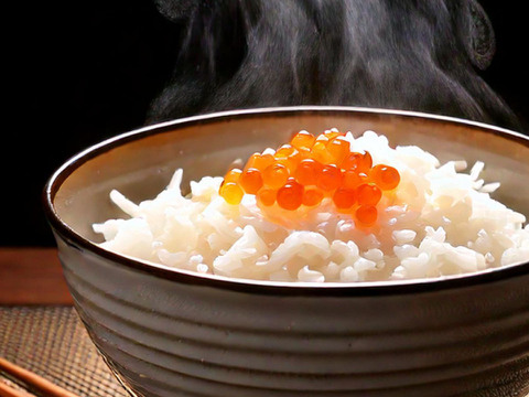 山形県産はえぬき（2kg）令和6年産：精米