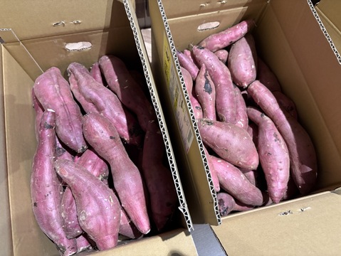 【セール中】訳あり！熟成紅はるか　10kg  さつまいも