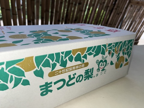 千葉県　松戸市産　甚左衛門の梨　【おまかせ便】　9〜13玉　約5キロ