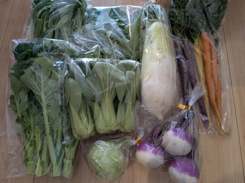 ＼シャキうま！／南房総の旬野菜セット！セレクトおまかせ【8品目】