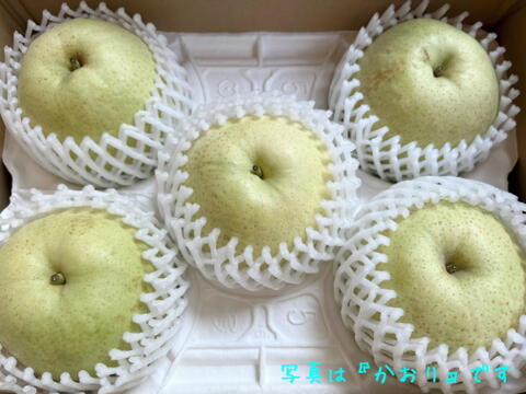 進化した二十世紀梨！　千葉県産【スーパー二十世紀 - 瑞鳥】3㎏『5～8玉入』　市川のなし・フルーツキャップ個装