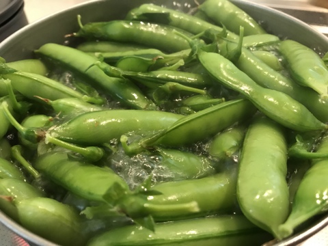 1日3組限定 今が旬 特別栽培ウスイエンドウ500g 兵庫県産 食べチョク 農家 漁師の産直ネット通販 旬の食材を生産者直送