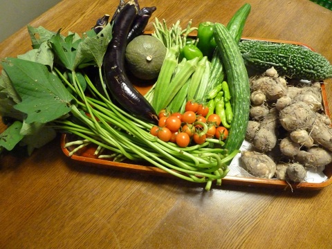 【野菜セットＳ秋冬】お試しサイズの露地野菜