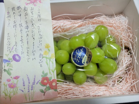 さんだんばたけ企画！
シャインマスカット３房セット　1.5ｋｇ前後　甘くて爽やか💚美味しいと好評‼️収穫してすぐ発送いたします。