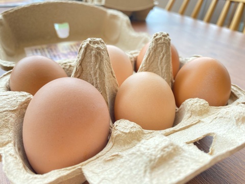【健康祈願】福地鶏の栄養満点「初卵」