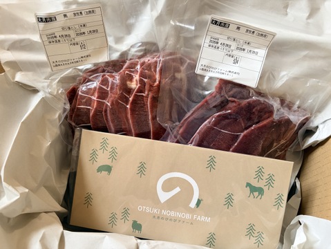 大月市で肥育【馬肉の切り落とし】1Kg