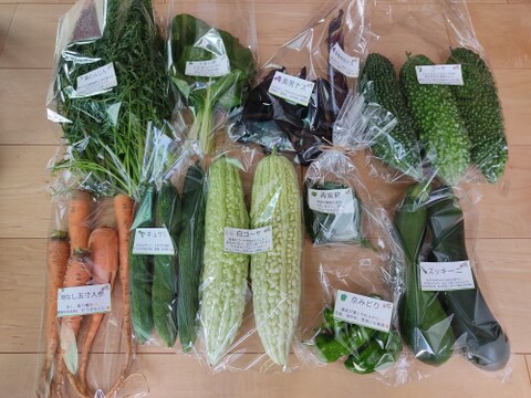 旬のお野菜セット（5～7品）クール便