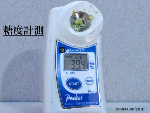 【令和8年黒枝豆・予先行予約・増量特典付き】丹波篠山産 黒枝豆 さや1.4kg（通常1.2kg＋200g）農家直送・期間限定 丹波篠山 黒枝豆 産地直送 大粒 最高級 さや 枝豆 丹波篠山黒枝豆