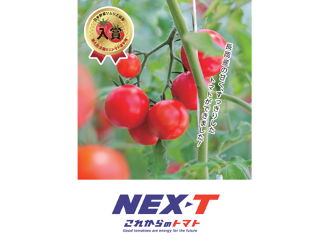 【バランス抜群の甘味と酸味！フルーツトマト(これトマ)】１箱厳選45粒(約800g)